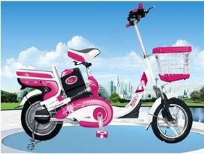 品牌電動(dòng)車經(jīng)典簡(jiǎn)易款排名